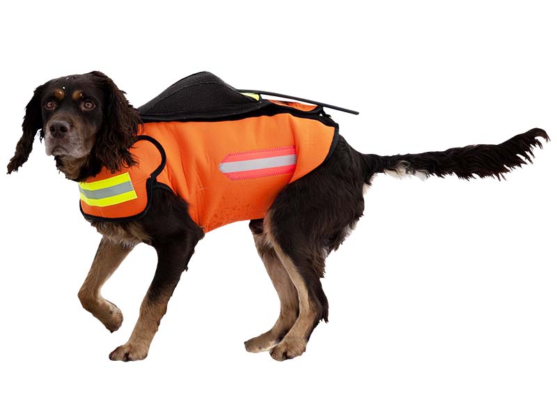 DOGTECH GPS-väst, ORANGE