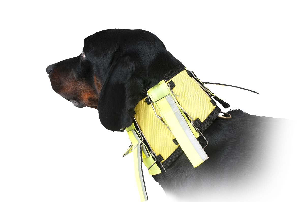 DOGTECH Neck, YELLOW