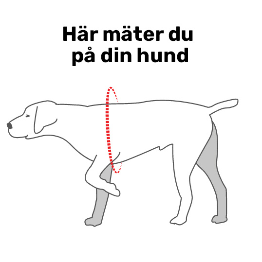 DOGTECH ONE - Grundväst, Röd