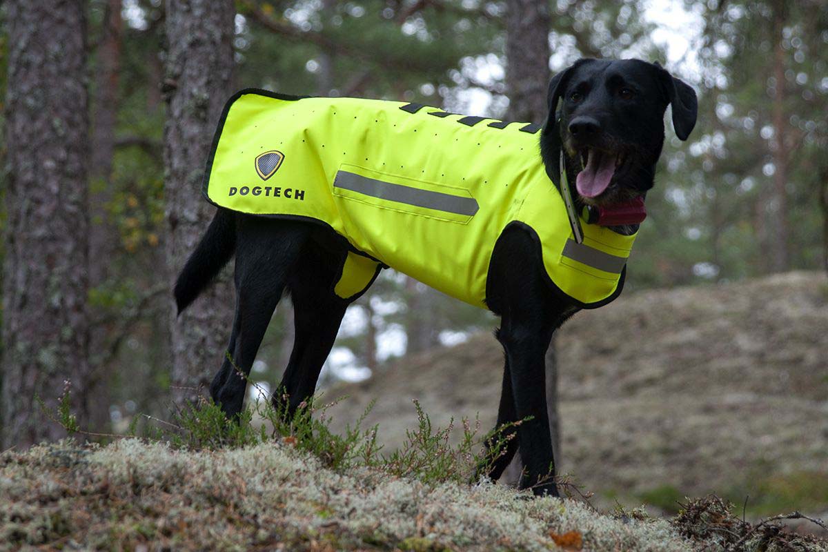 DOGTECH ONE - Grundväst, Gul