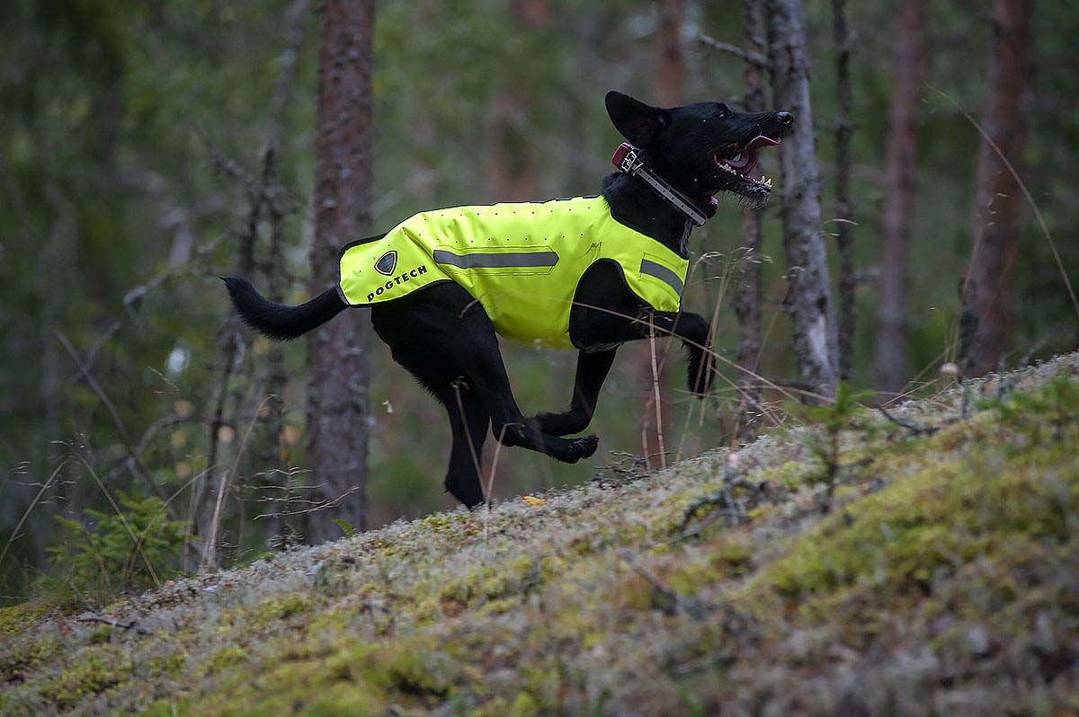 DOGTECH ONE - Grundväst, Gul